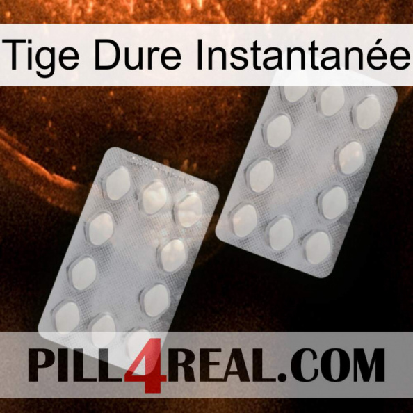 Tige Dure Instantanée 17